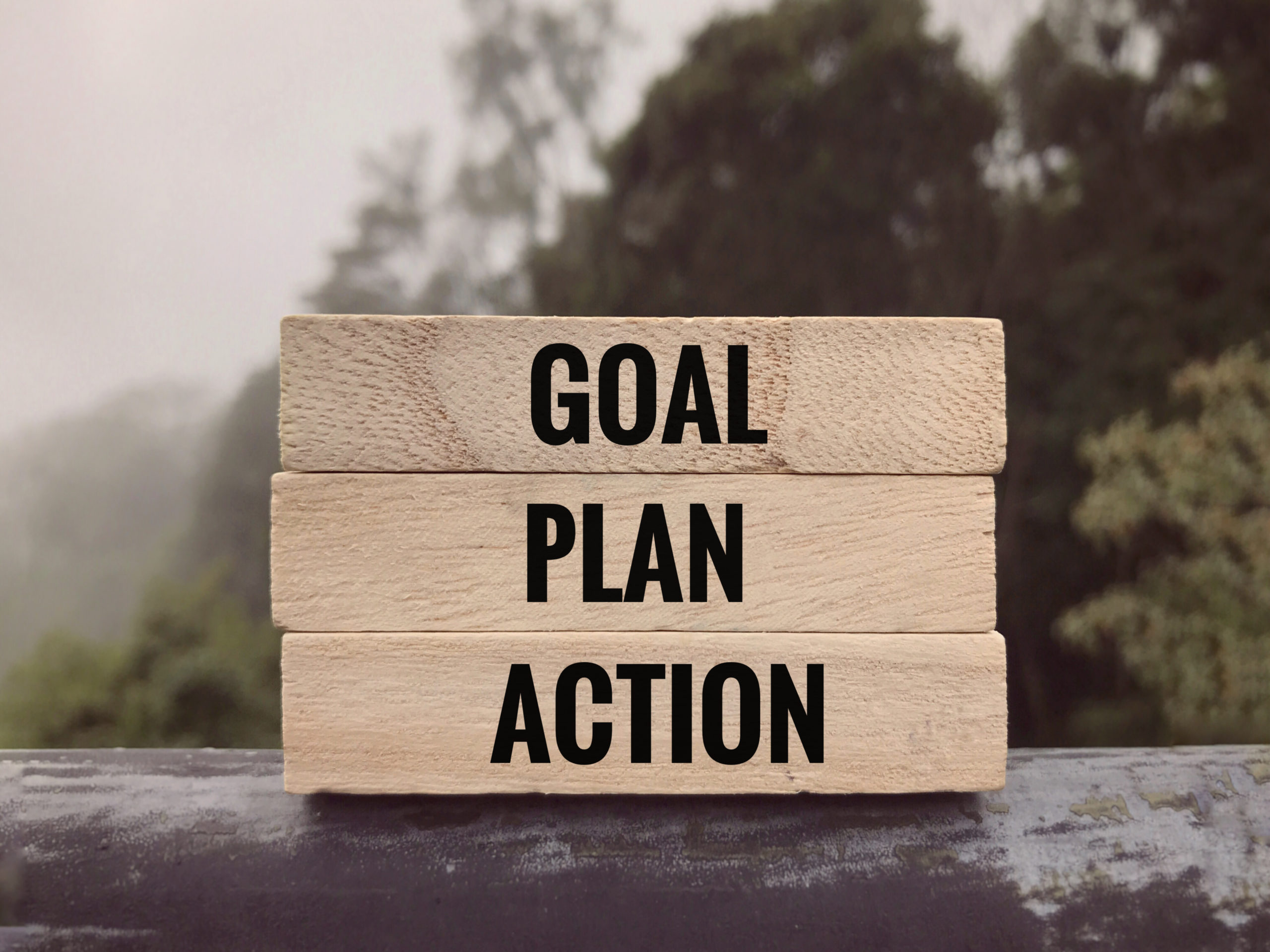 goal review
